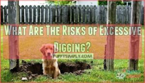 what are the risks of excessive digging