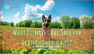 what climates are safe for german shepherds