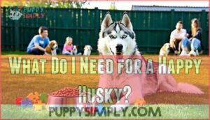 what do i need for a happy husky