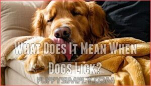 what does it mean when dogs lick