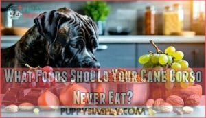 what foods should your cane corso never eat