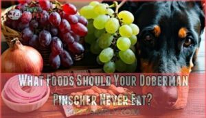 what foods should your doberman pinscher never eat