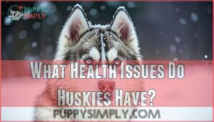 what health issues do huskies have