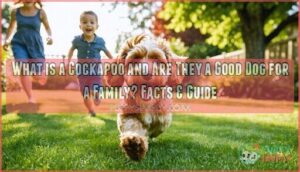 what is a cockapoo and are they a good dog for a family