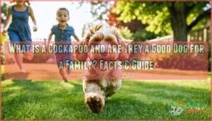 what is a cockapoo and are they a good dog for a family