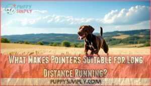 what makes pointers suitable for long distance running