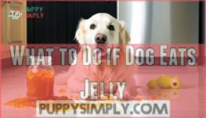 what to do if dog eats jelly