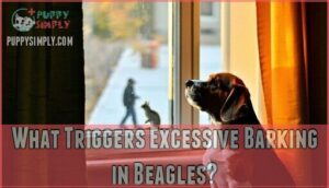 what triggers excessive barking in beagles