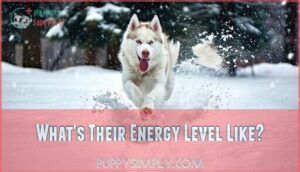 what's their energy level like