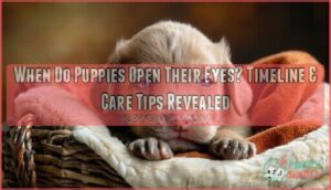 when do puppies open their eyes when do puppies open their eyes