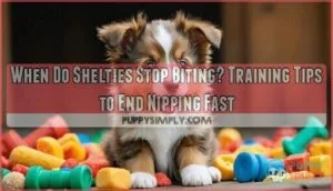 when do shelties shetland sheepdogs stop biting and how can you stop it