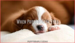 when puppies open eyes