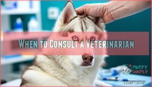 when to consult a veterinarian