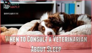 when to consult a veterinarian about sleep
