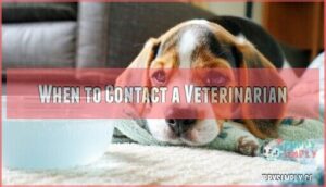 when to contact a veterinarian
