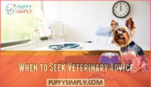 when to seek veterinary advice