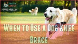 when to use a dog knee brace