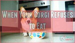 when your corgi refuses to eat