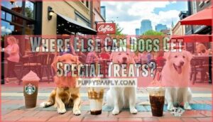 where else can dogs get special treats