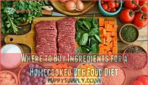 where to buy ingredients for a homecooked dog food diet