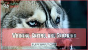 whining, crying, and groaning