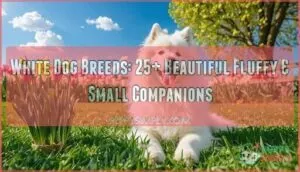 white dog breeds