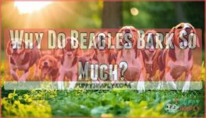 why do beagles bark so much