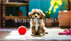 why do cockapoos bark