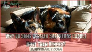 why do some german shepherds cuddle more than others