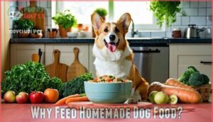 why feed homemade dog food