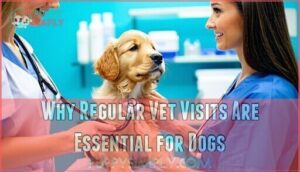 why regular vet visits are essential for dogs