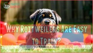why rottweilers are easy to train