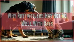 why rottweilers may not do well with cats