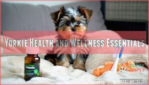 yorkie health and wellness essentials