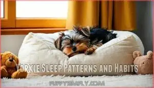 yorkie sleep patterns and habits