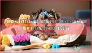 yorkies everything you need to bring home your new yorkie