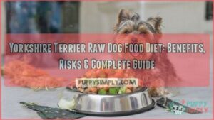 yorkshire terrier raw dog food diet