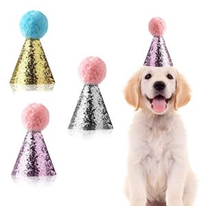 3pcs Dog Birthday Hat for B07YYMNZ37
