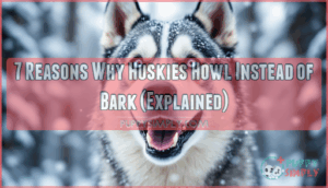 7 reasons why huskies howl instead of bark
