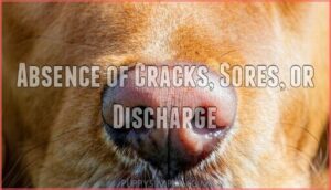 absence of cracks, sores, or discharge