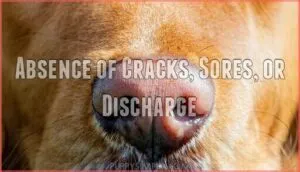 absence of cracks, sores, or discharge absence of cracks, sores, or discharge