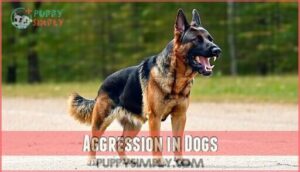 aggression in dogs