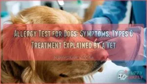 allergy test for dogs