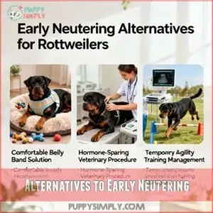 alternatives to early neutering alternatives to early neutering