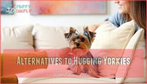 alternatives to hugging yorkies
