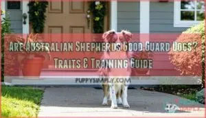 are australian shepherds good guard dogs