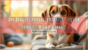 are beagles hypoallergenic tips for families with allergies