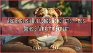 are english bulldogs good pets