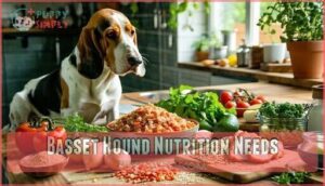 basset hound nutrition needs