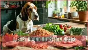 basset hound nutrition needs